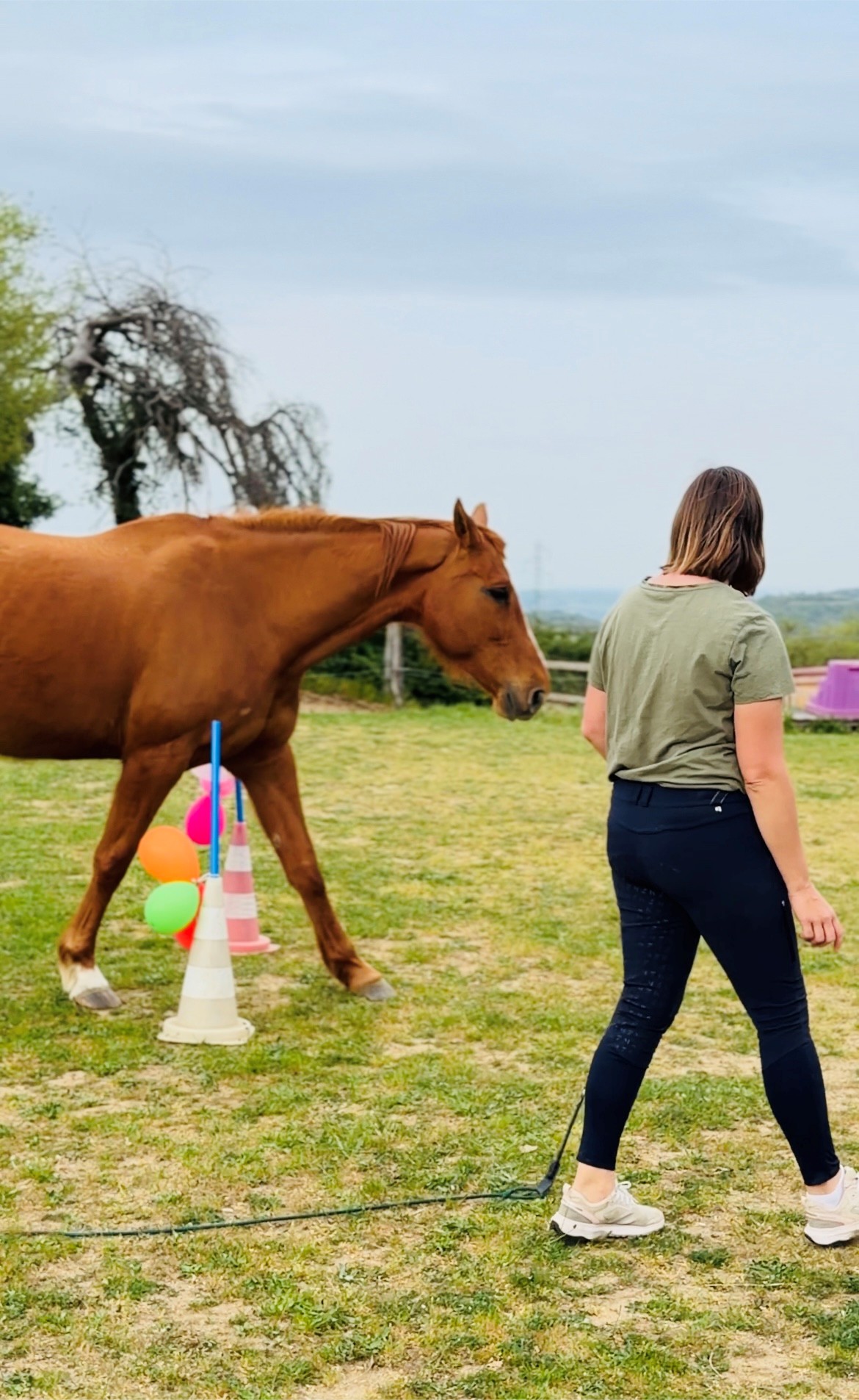 Stage Équitation Éthologique