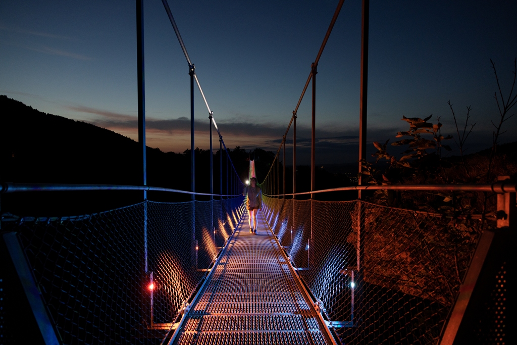 TRIPINWILD_02