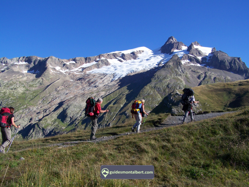 Aiguille des Glaciers Aiguille des Glaciers