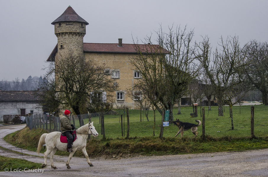 Randonnées à cheval en CAPI
