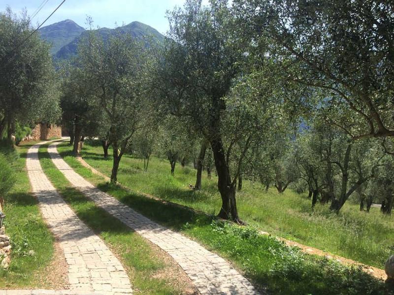 Entrée de l'oliveraie La Source du Mont à Breil sur Roya - Gîtes de France Alpes-Maritimes Entrée de l'oliveraie La Source du Mont à Breil sur Roya - Gîtes de France Alpes-Maritimes