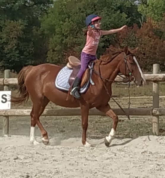 Jeux pédagogiques - Ecurie Horseland