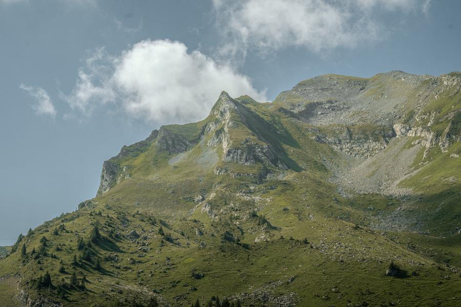 Randonnée pédestre : le Lac Vert depuis la télécabine d'Ardent_Montriond