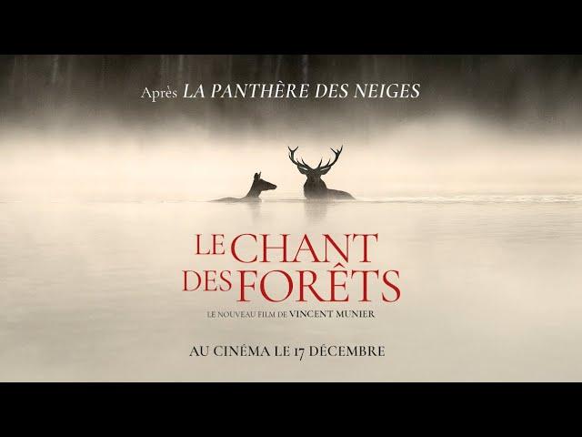Le Chant des Forêts - Cinéma de Pays