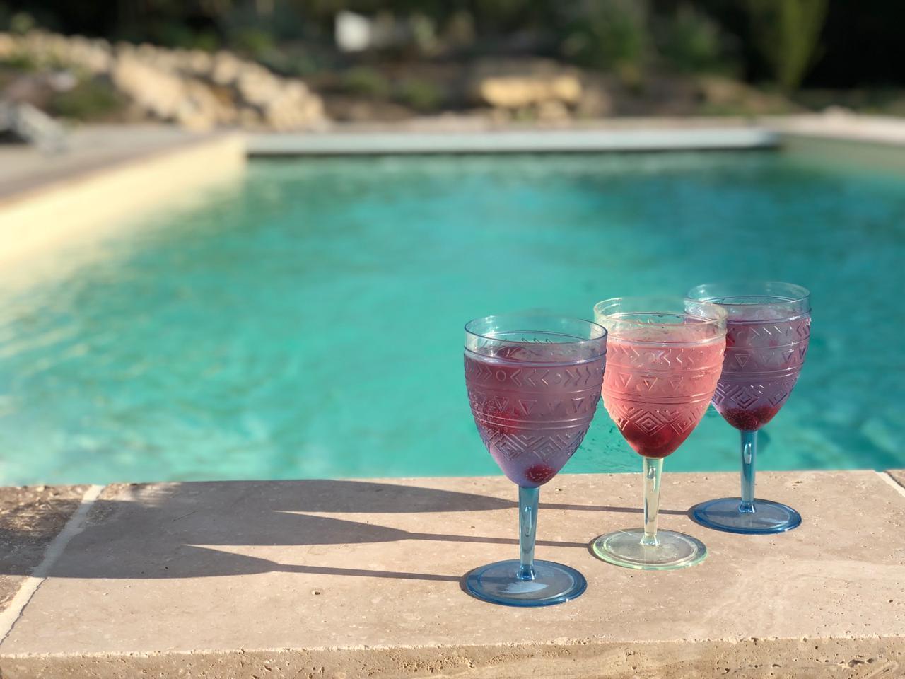 Mas Hector, Châteaurenard - photo 9