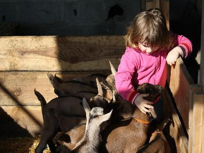 La ferme de l'authentique - photo 3