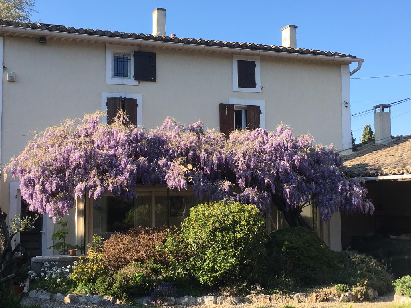 Mas de l'Avani, Plan-d'Orgon - photo 22