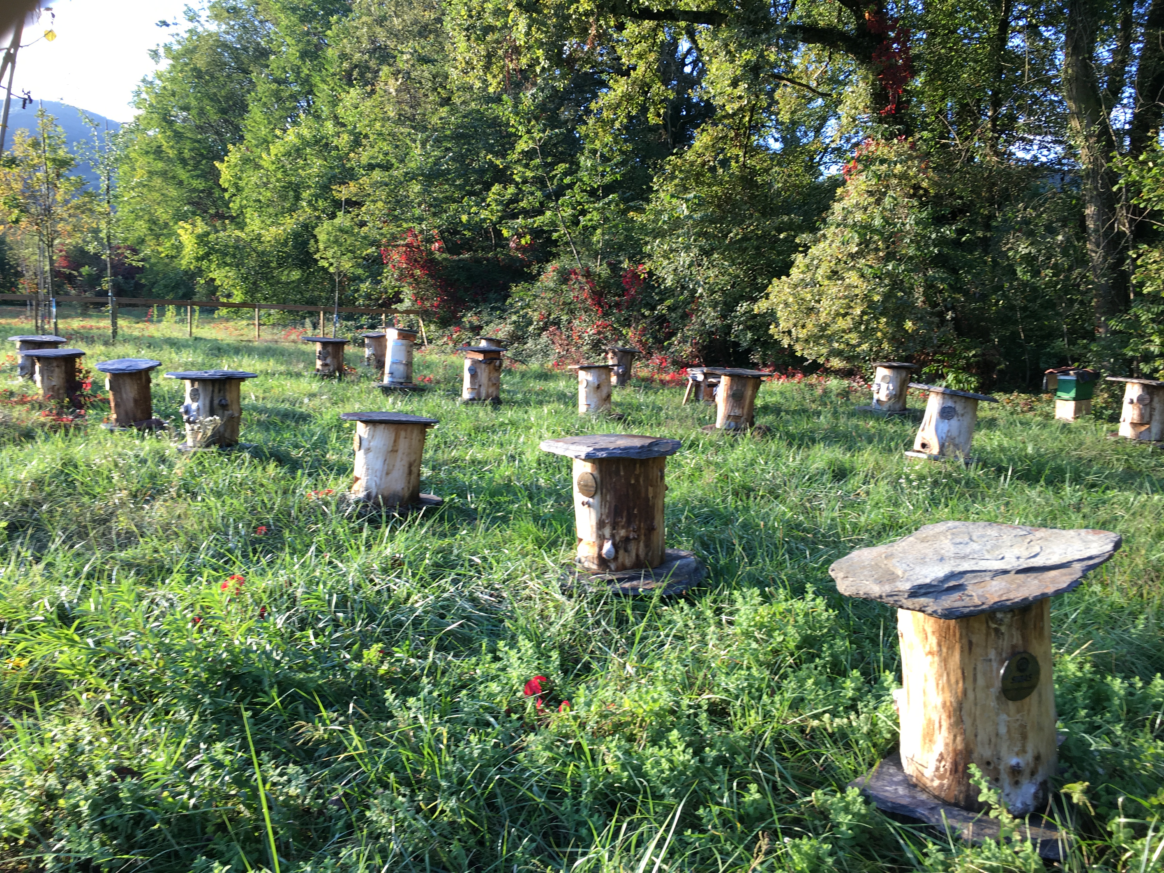 parc des sculptures