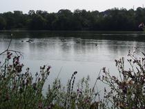 Du bassin du Carouge au Parc de Lormoy - Parcours Baludik_Bru00e9tigny-sur-Orge