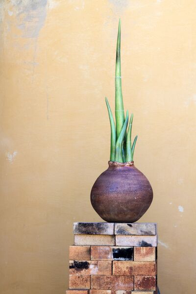 Point Fusion Poterie