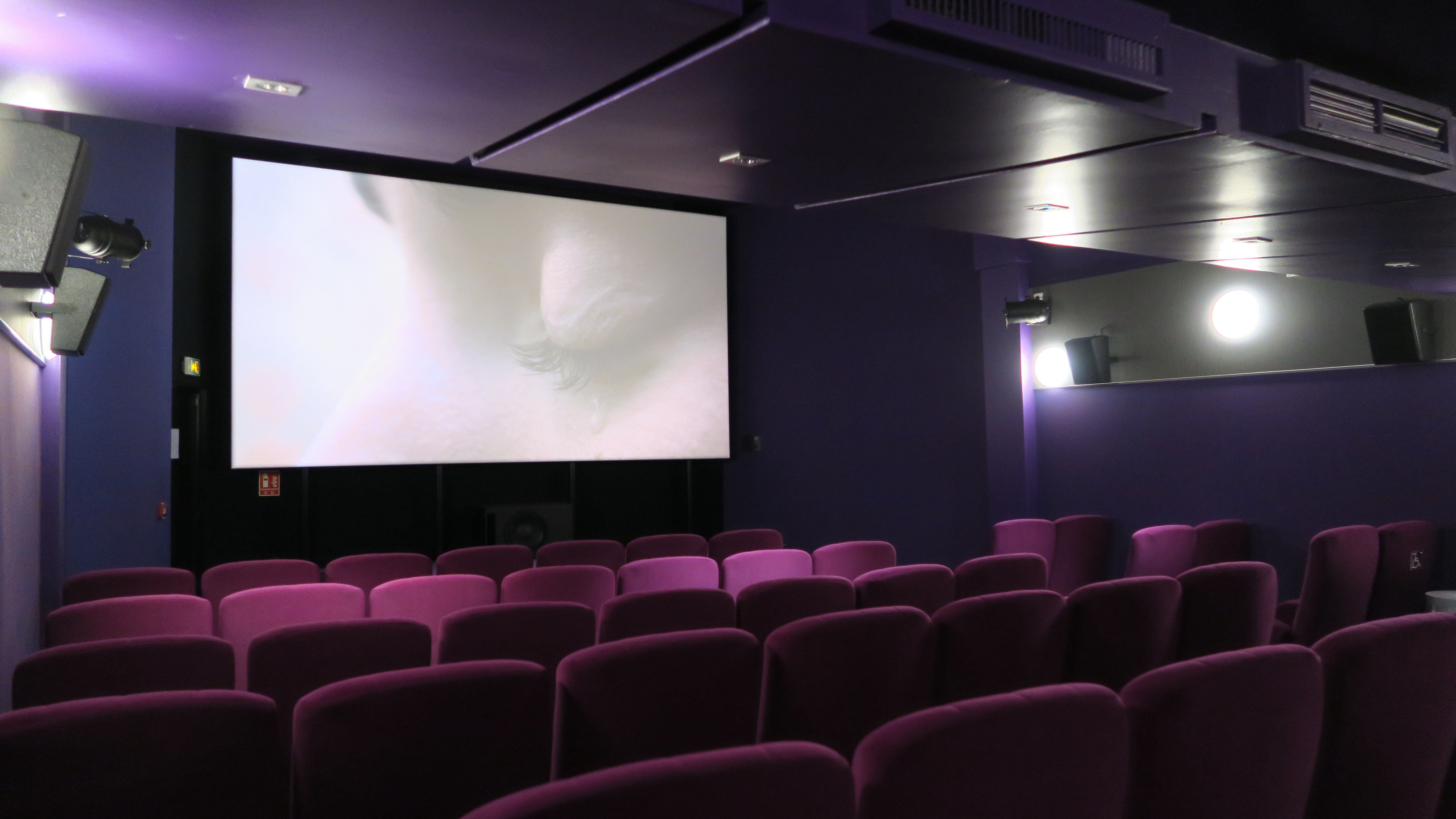 Cin�ma : L'Arlequin