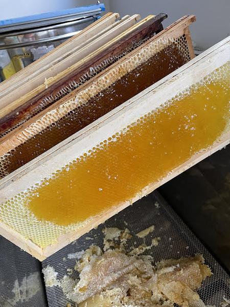 The apiary of Hélo_Massy