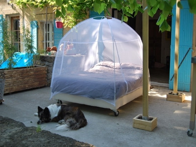 La Glycine - Les Volets Bleus Provence