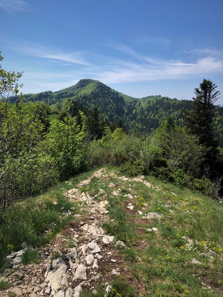 Trail sur les crêtes de Sur Lyand dans le Massif du Grand Colombier
