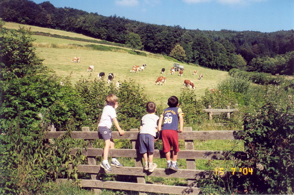 Gîte d'enfants 'Les Canards' à St Bonnet des Bruyères (Rhône - Monts du Beaujolais).