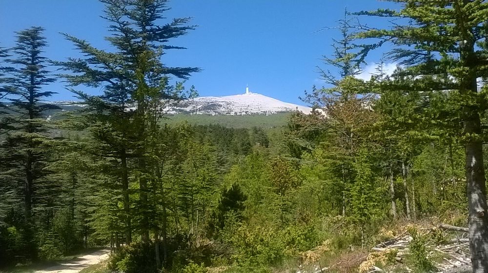 ventoux