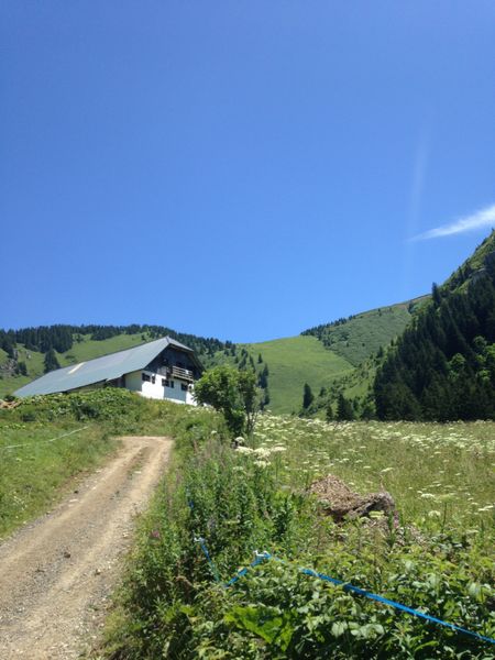 Chalet d'alpage de Barbossine