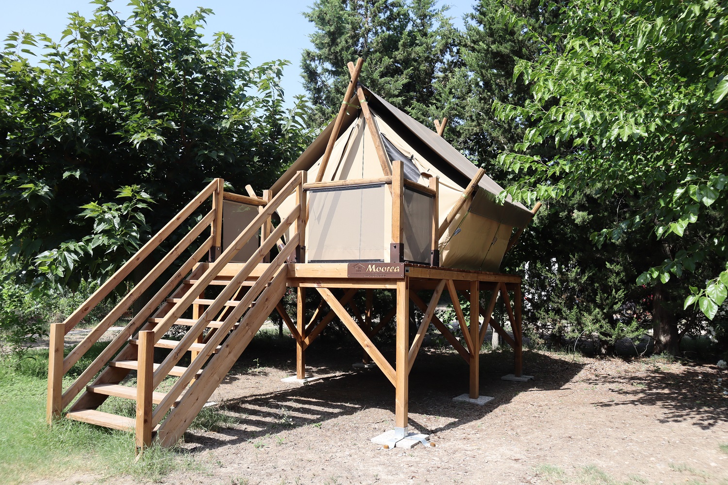 Les Micocouliers, Graveson - photo 5