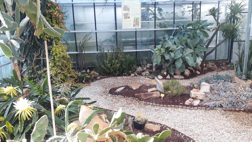 Visite du jardin botanique de l'Université Paris-Saclay : Serre botanique, semis et boutures 