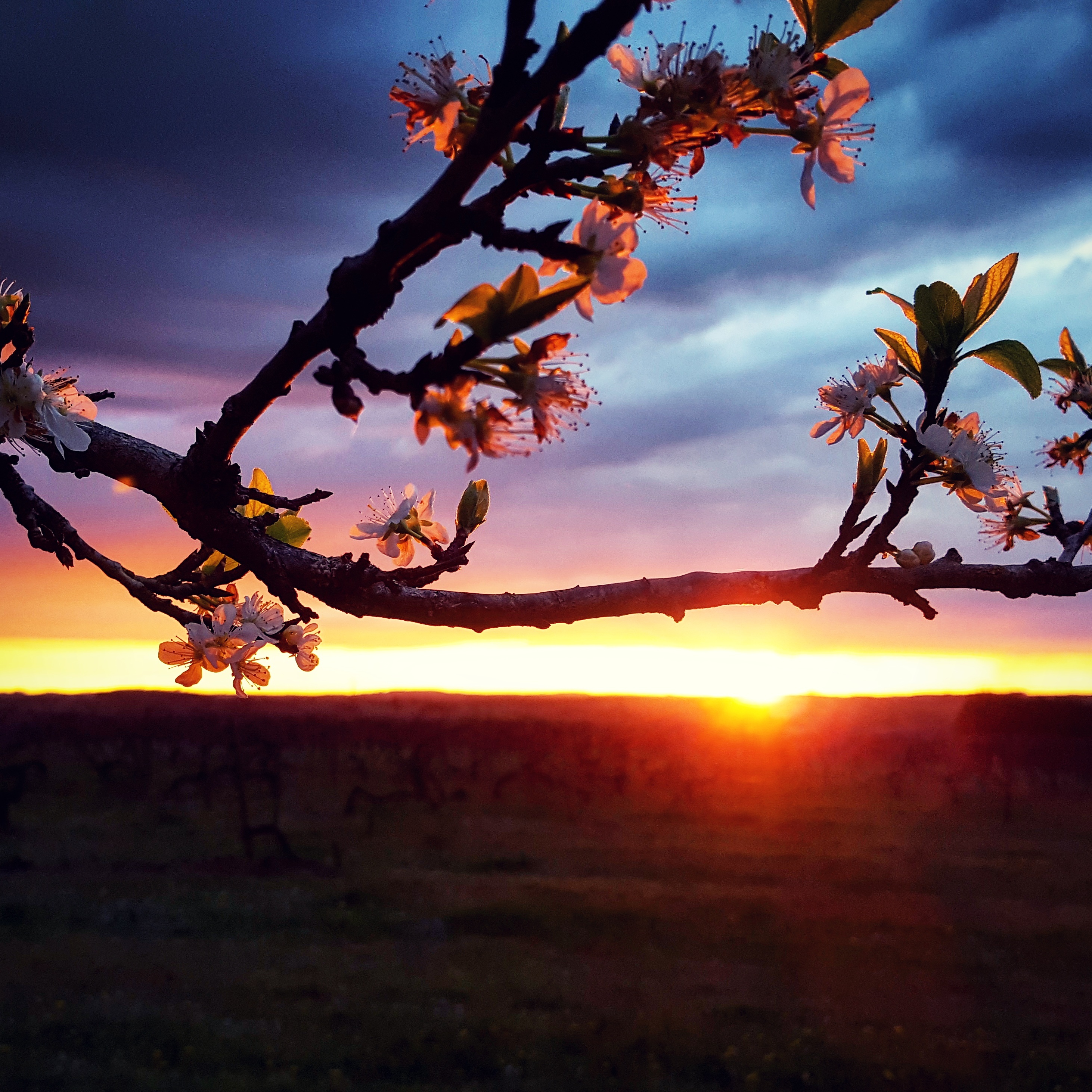 Balade | Les Spots Instagrammables de Gwen