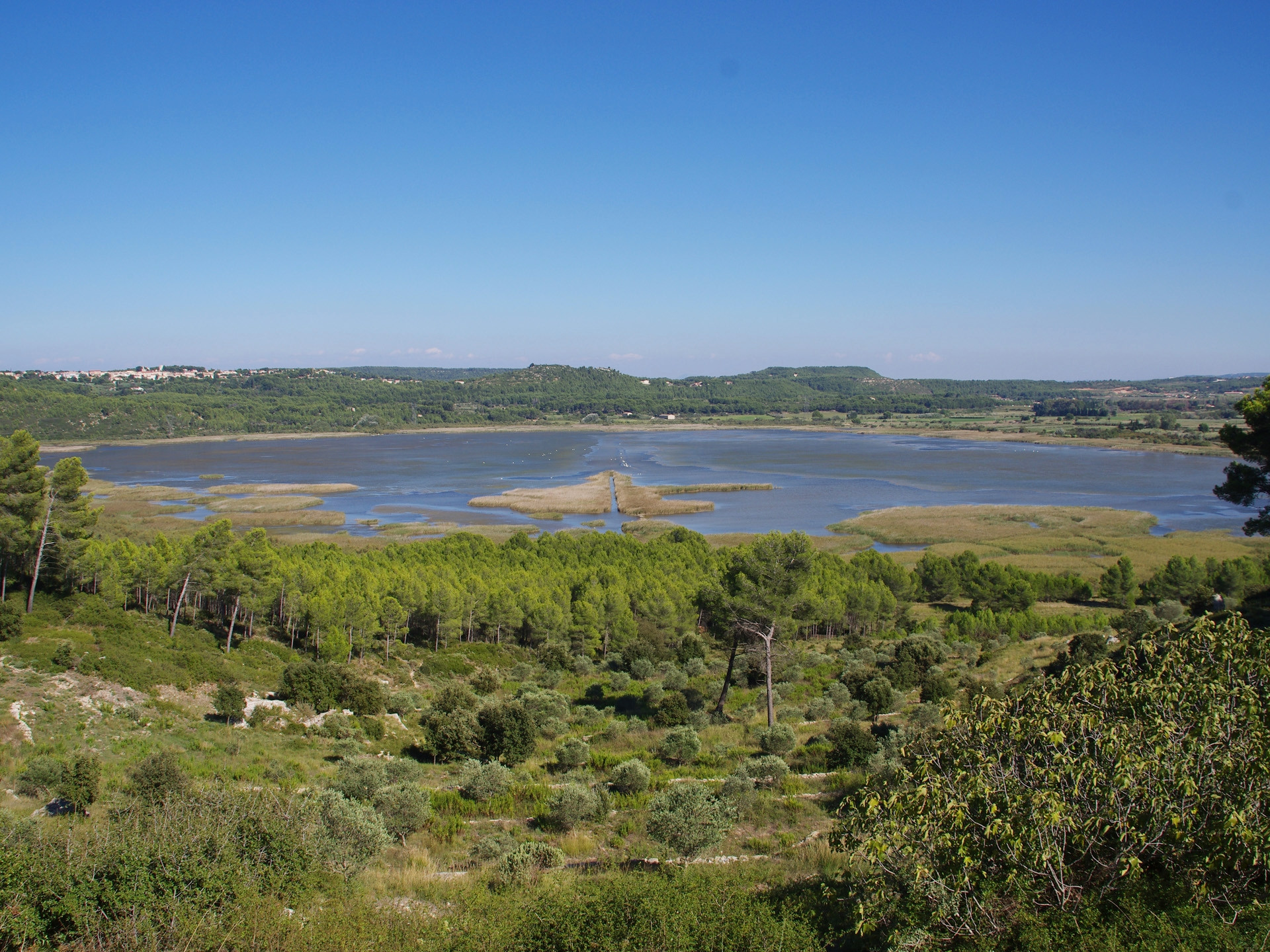 Forêt de Castillon - Etangs de Pourra et d'Engrenier, Port-de-Bouc - photo 4