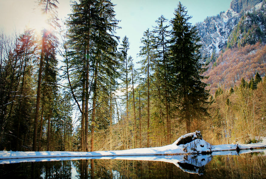 Sur le chemin à l'arrivée
