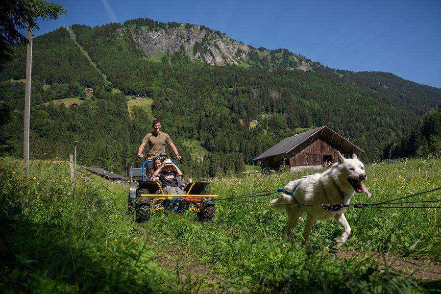 Mushing'EXPERIENCE_Champéry