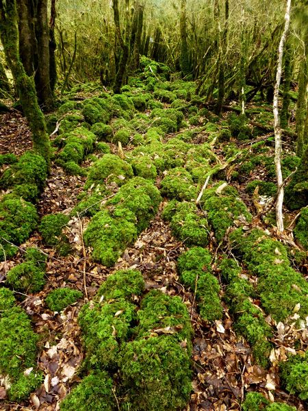 gour de la rande chavannes sur suran