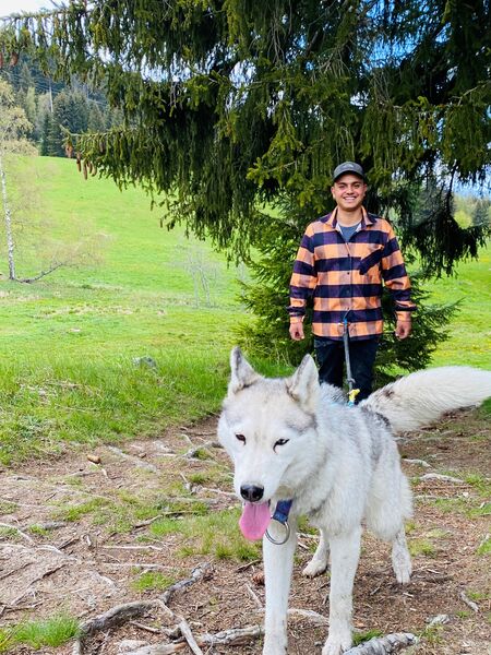 Balade avec un Husky Balade avec un Husky