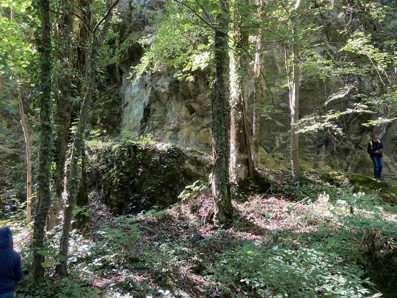 voie romaine dans la végétation