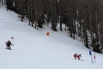Géant Bi-Ski