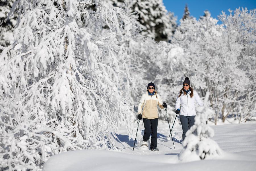 Raquette en Duo sur le chemin du vallon