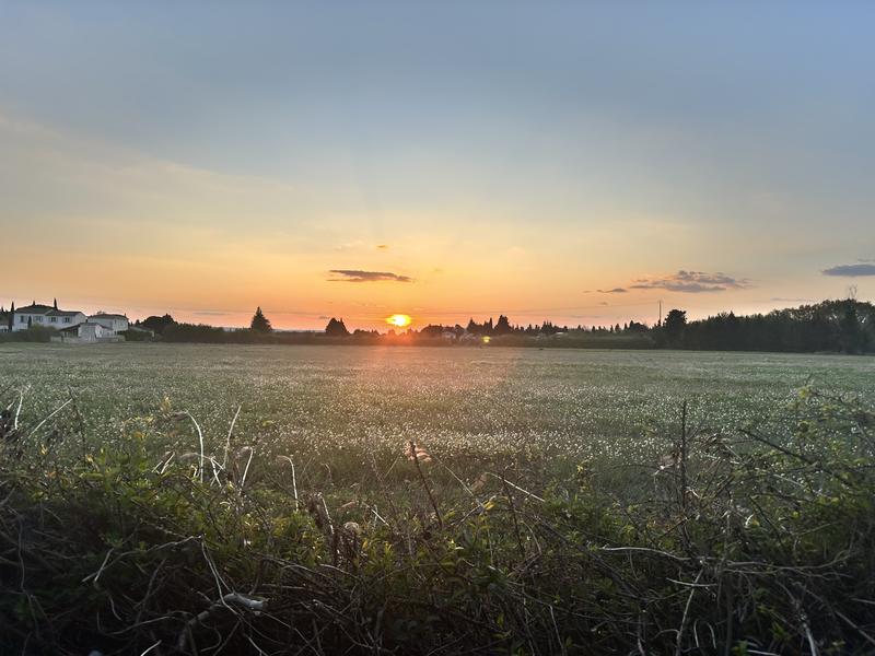 Le Camping du Lavandin_Orange