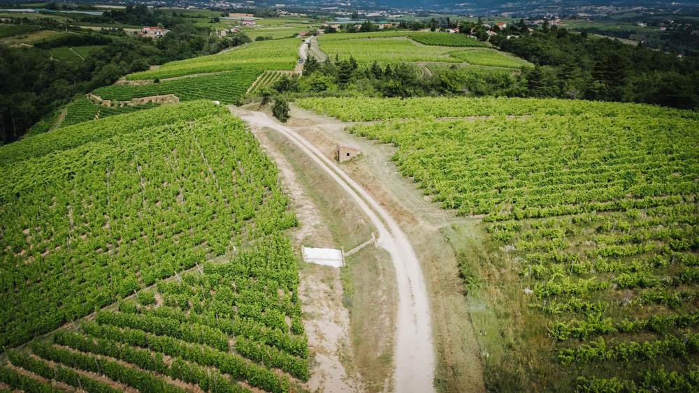 Rando Wine au Domaine Anthony Paret