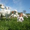 Ferme de Villars Élevage de chèvres Ⓒ Ferme de Villars