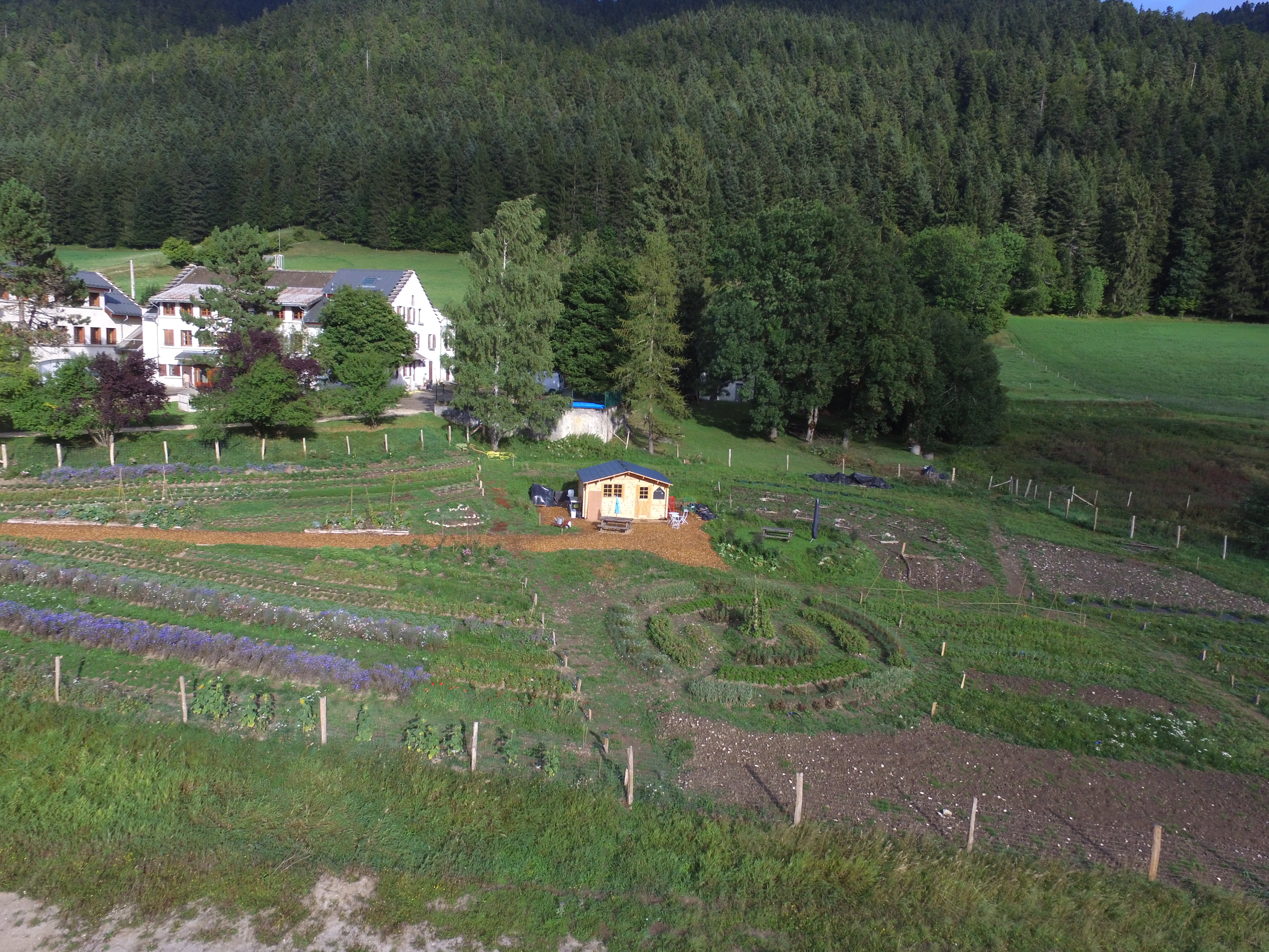 Visite d'un jardin en permaculture