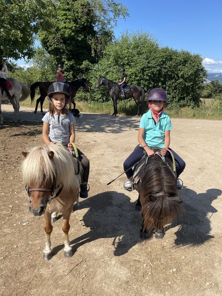 Balades - Ecurie Horseland