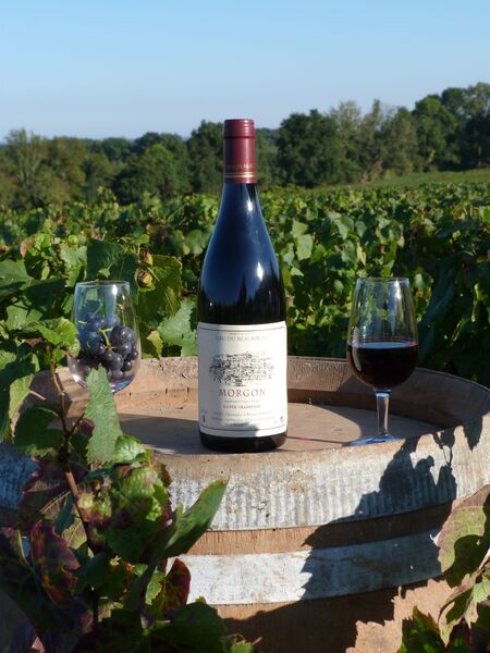Domaine Christophe et Daniel Rampon à Villié-Morgon