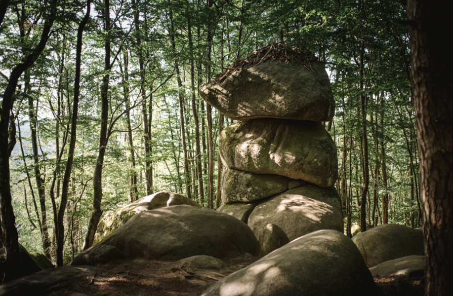 3 fromages sur le sentier des merveilles Sidobre