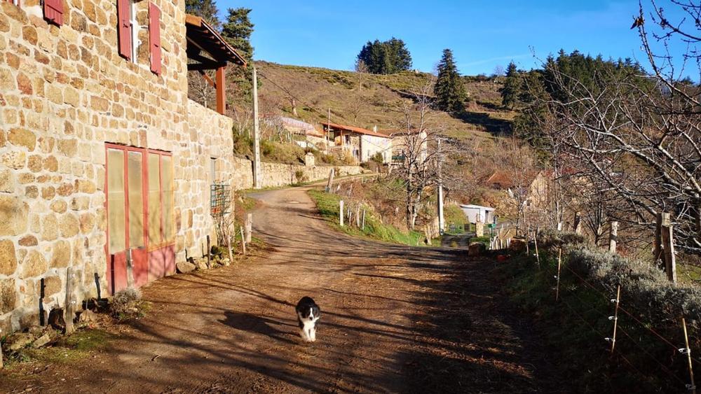 Chèvrerie Bouchet-Ravaux