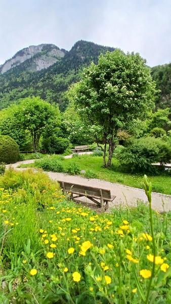 Jardin Alpin_Bellevaux