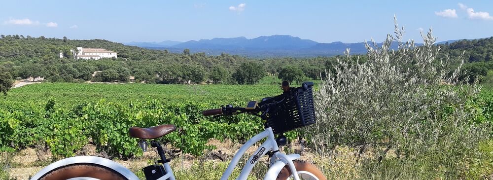 Roue Libre - Saint Maximin la Sainte Baume