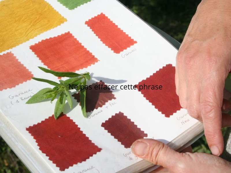 Stage de teinture végétale_Essertines-en-Donzy