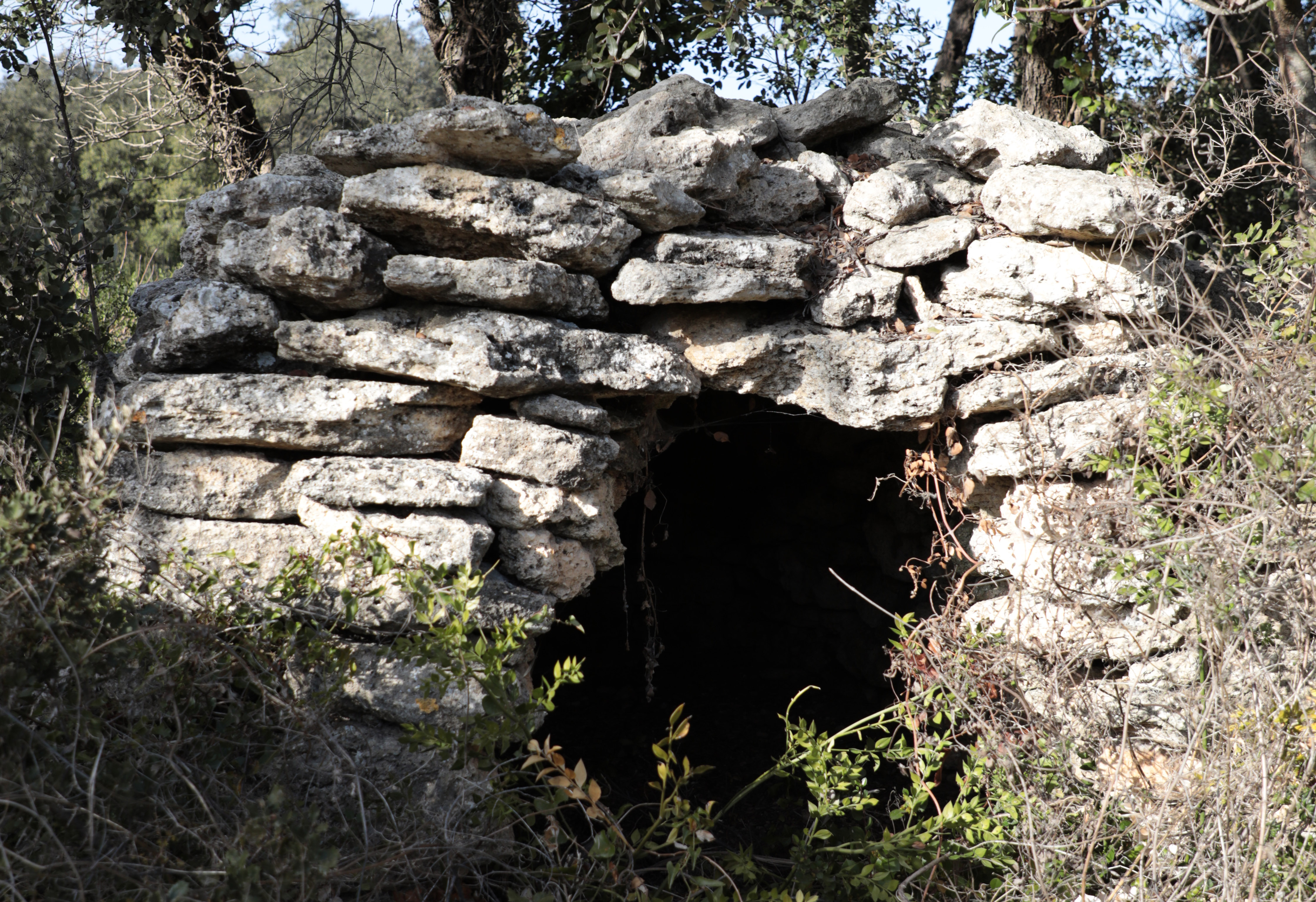 Cornillon-Confoux - Sentier du Mur des Abeilles, Cornillon-Confoux - photo 3