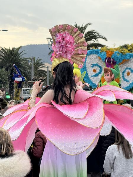 Corso du Mimosa_Cavalaire-sur-Mer