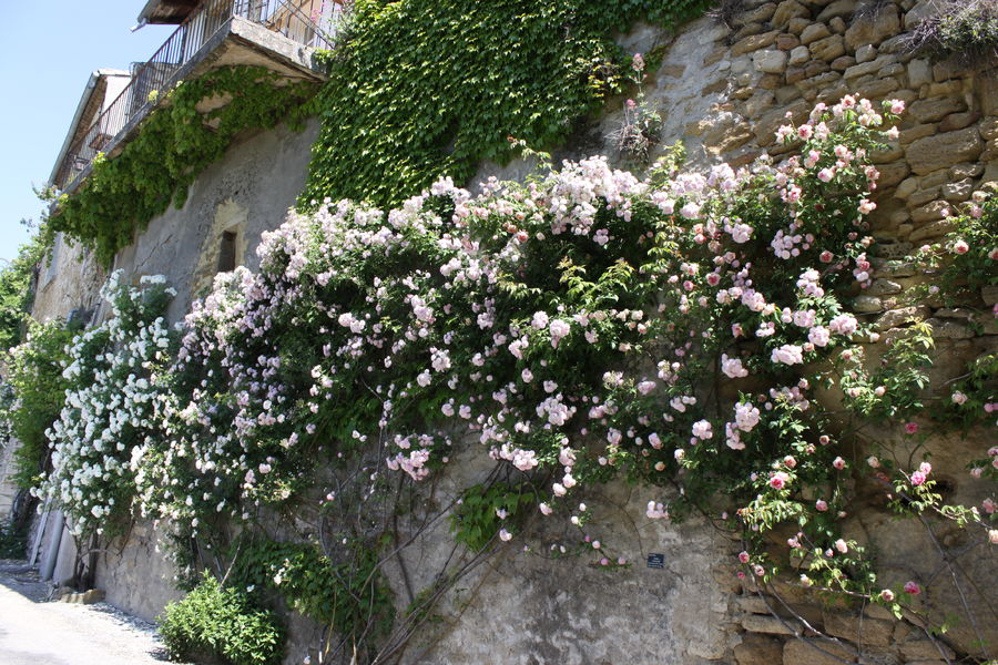 Grignan