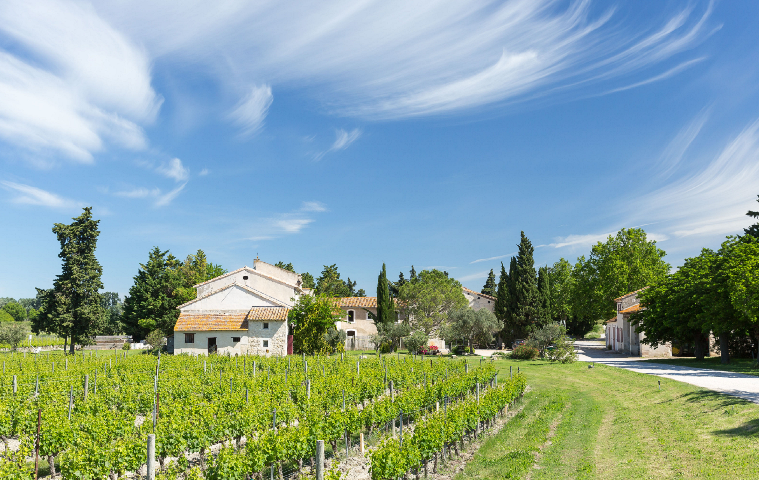 Domaine du Mas de Rey