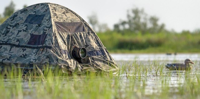 Alexandra Martinez Photography