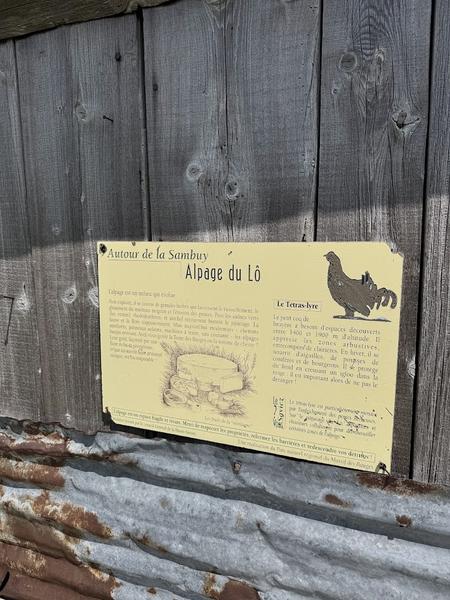 Randonnée pédestre : Boucle d'Orgeval_Faverges-Seythenex