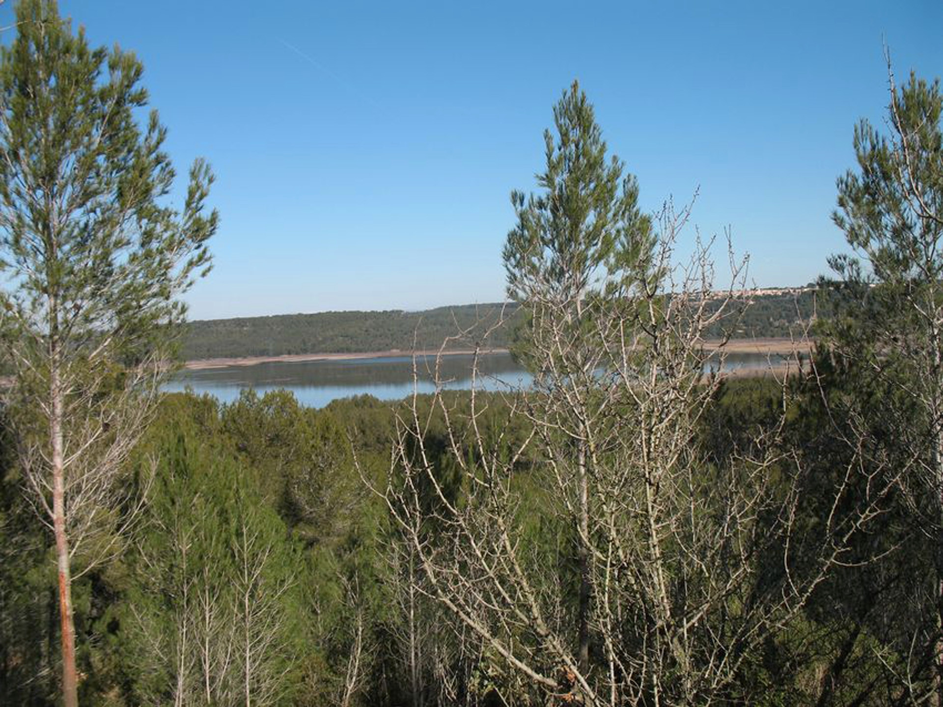Forêt de Castillon - Etangs de Pourra et d'Engrenier, Port-de-Bouc - photo 2